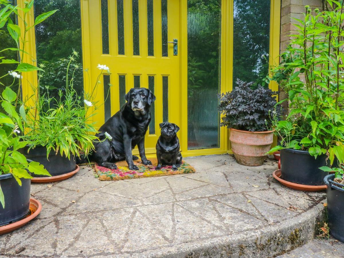 Little Yaffle Villa Dover Bagian luar foto